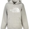 Otroški pulover The North Face za dečke – siv